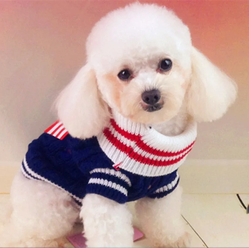 Cute Ribbon Knitted Winter Outfit Small Dog Sweatshirt