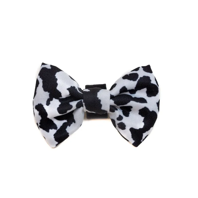 Funk the Dog Collar & Bowtie Set | Cow Print