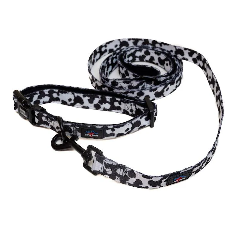 Funk The Dog Padded Dog Collar | Black & White Cow Print