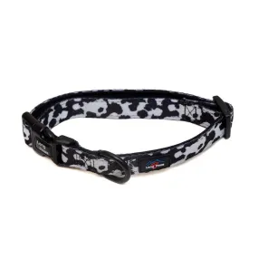 Funk The Dog Padded Dog Collar | Black & White Cow Print