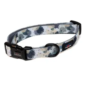 Funk the Dog Padded Dog Collar | Paint Splodge Grey