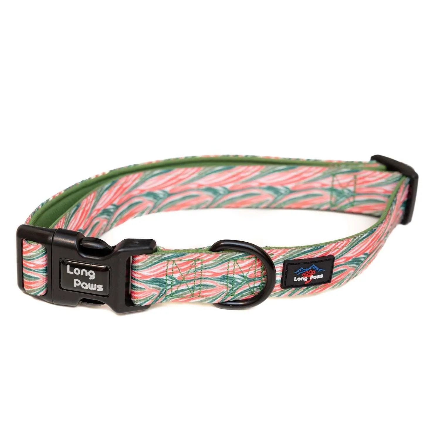 Funk The Dog Padded Dog Collar | Pink Green Zebra