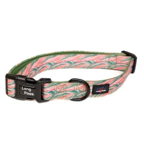 Funk The Dog Padded Dog Collar | Pink Green Zebra