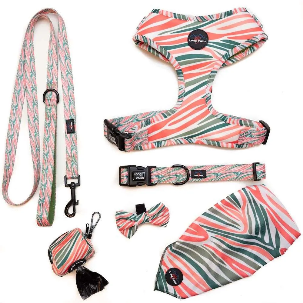 Funk The Dog Padded Dog Collar | Pink Green Zebra
