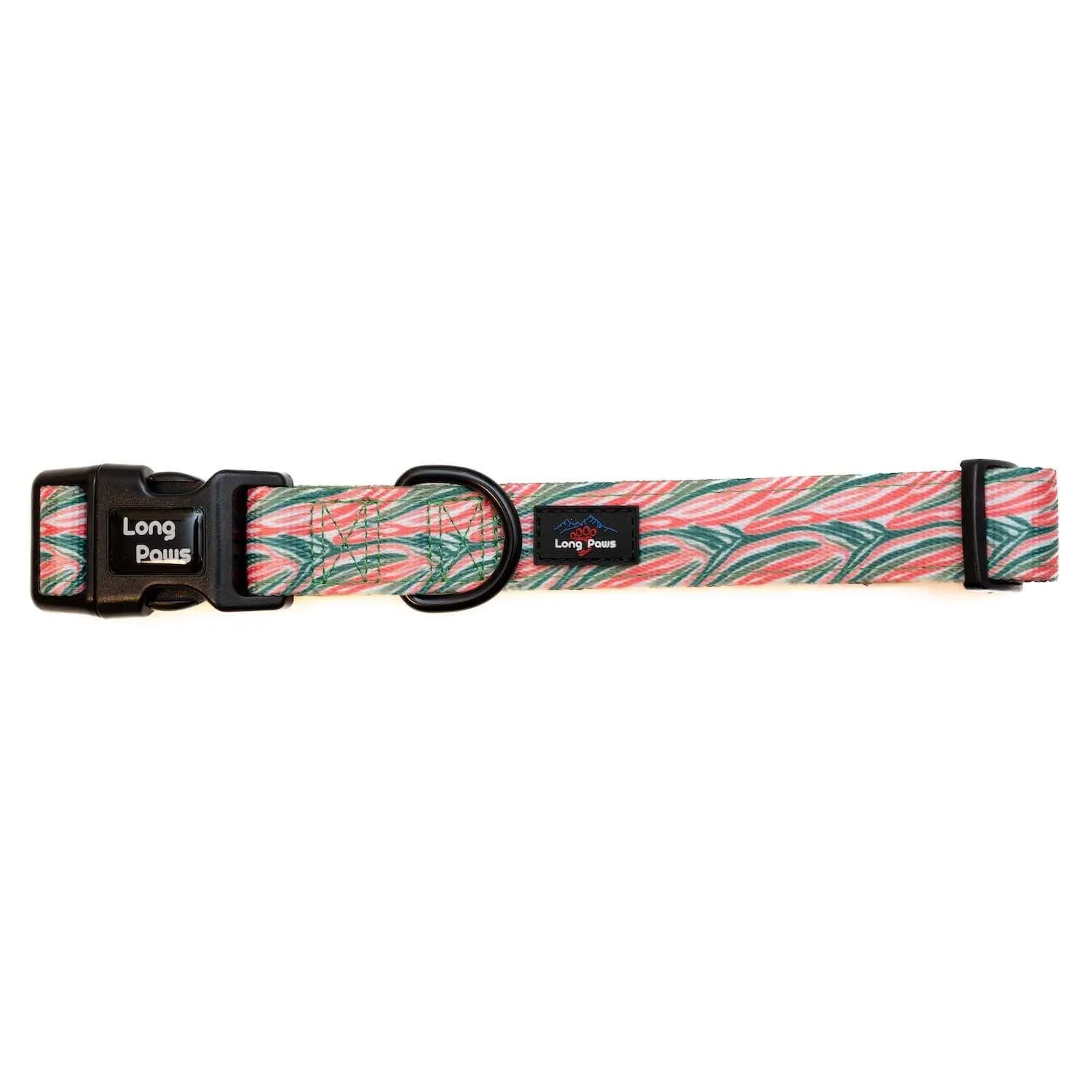 Funk The Dog Padded Dog Collar | Pink Green Zebra