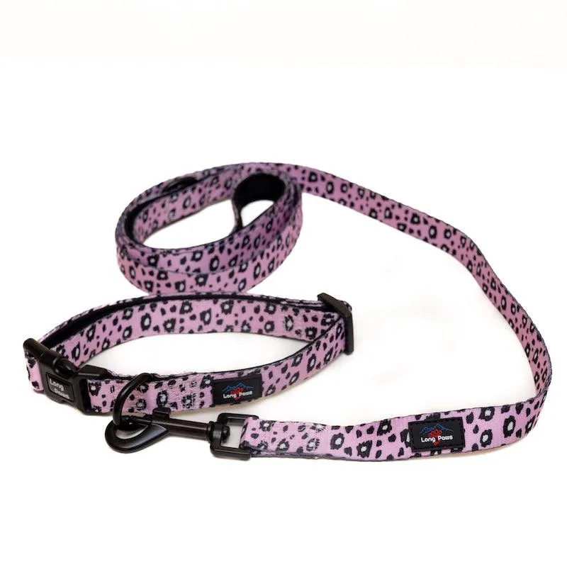 Funk The Dog Padded Dog Collar | Pink Leopard
