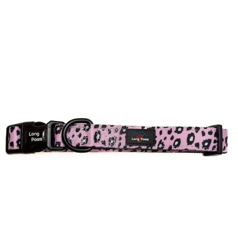 Funk The Dog Padded Dog Collar | Pink Leopard