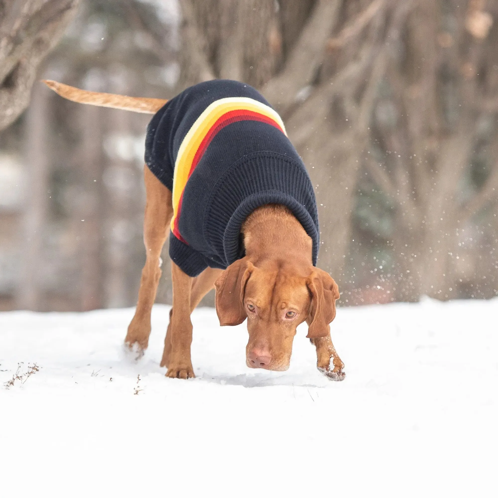 Retro Turtleneck Sweater