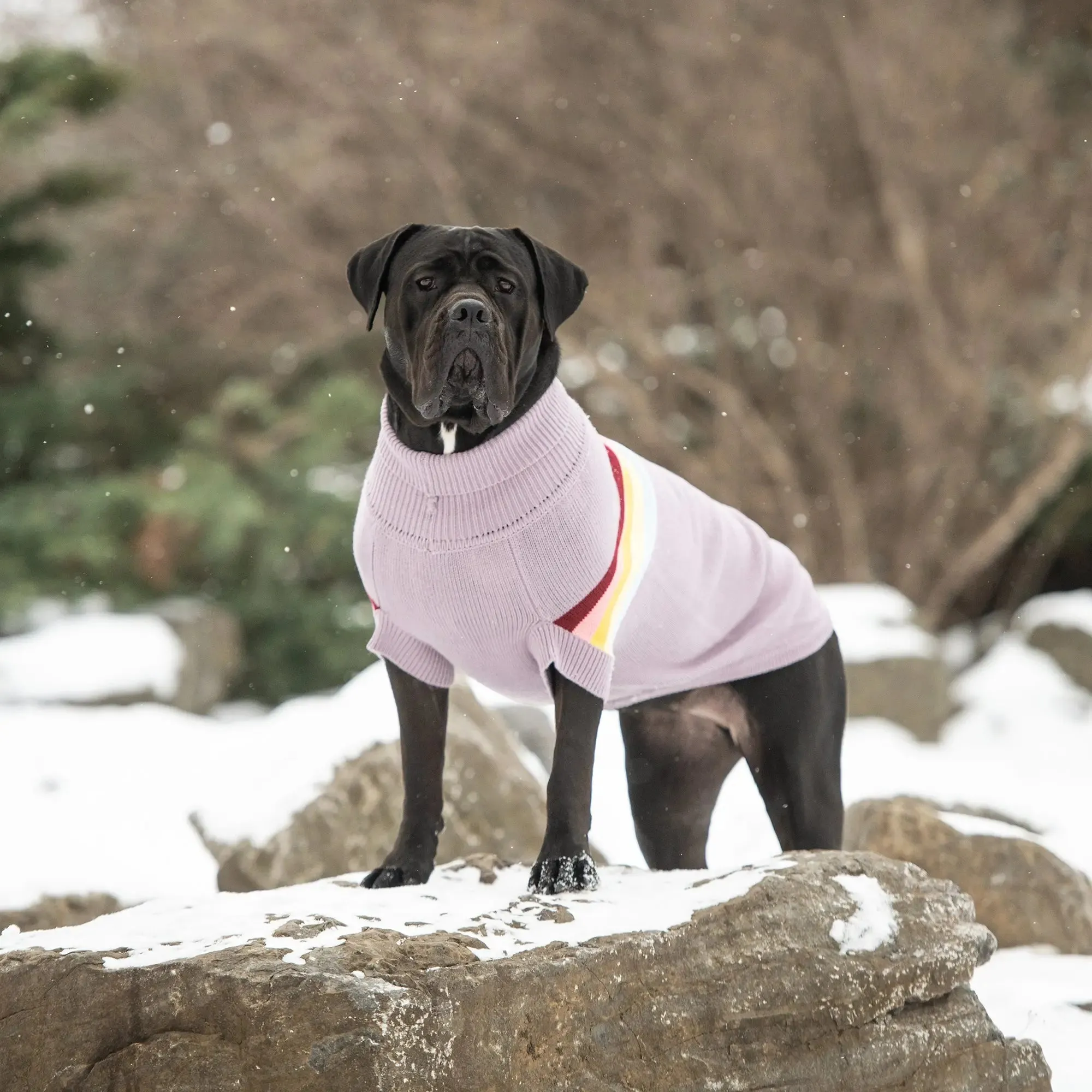 Retro Turtleneck Sweater
